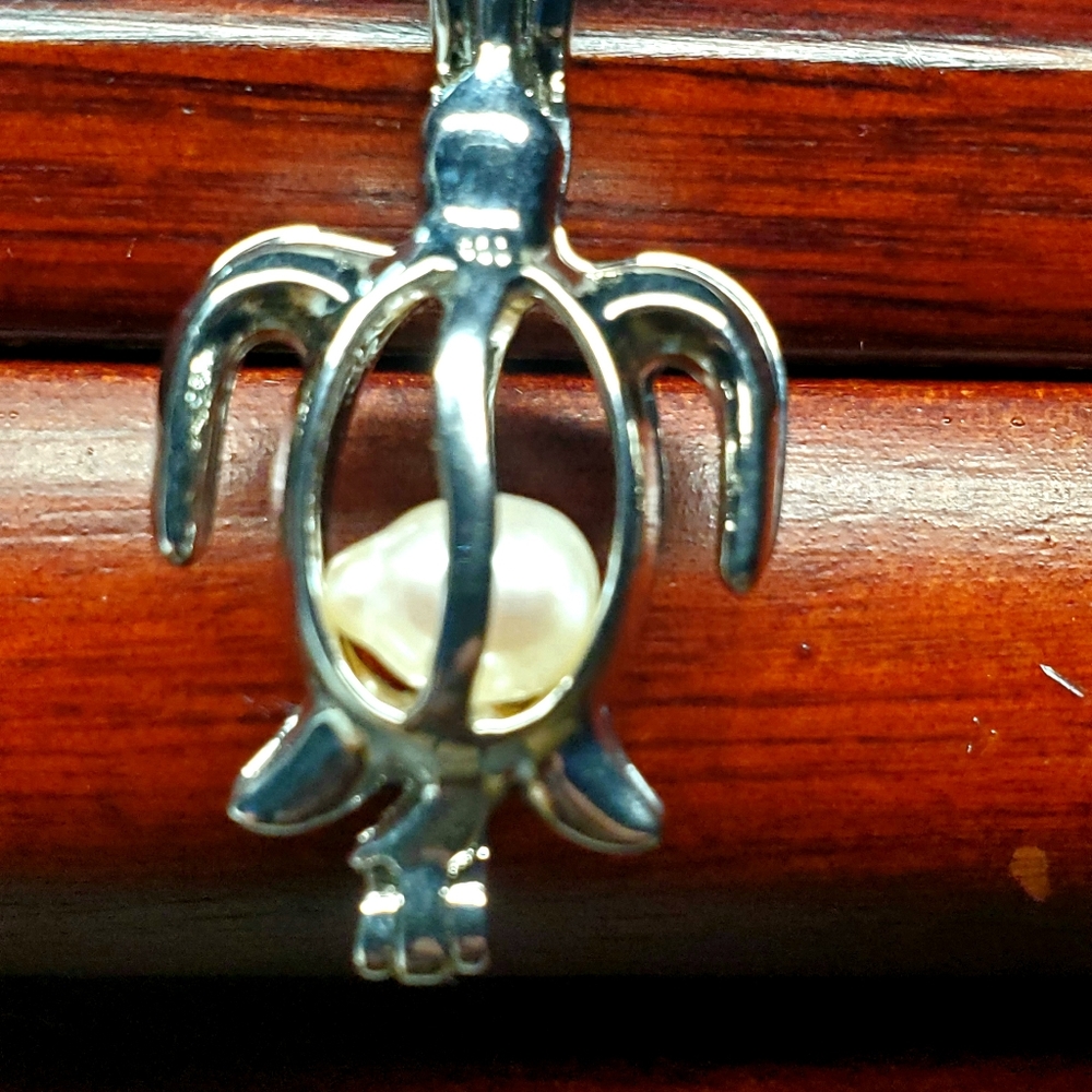Turtle pendant with 18 inch chain